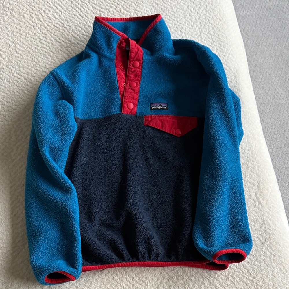 Patagonia Kids Blue and Red Fleece Pullover
